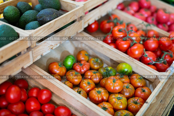 Harvest of ripe tomatoes of different varieties in crates on the counter. Стоковое фото, фотограф Яков Филимонов / Фотобанк Лори