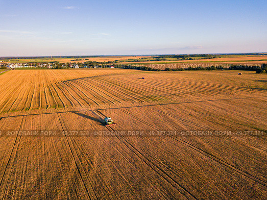 Harvester machine working in field. Combine machine harvesting agriculture golden ripe wheat field. Aerial view on the combine working on large rye field near Minsk, Belarus. Стоковое фото, агентство Ingram Publishing / Фотобанк Лори