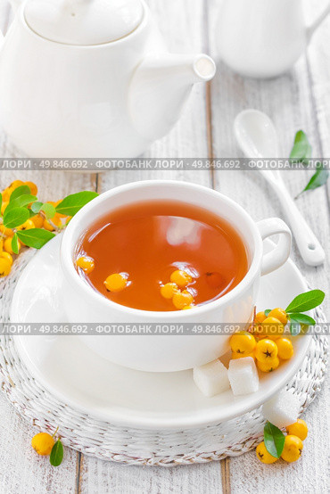 Hawthorn tea. Стоковое фото, агентство Ingram Publishing / Фотобанк Лори