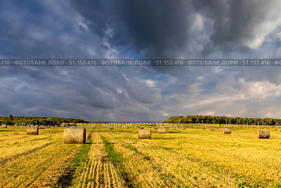 Haystack bale on a golden field landscape at sunset. Rural agricultural scene with bales of hay. Countryside harvest concept. Стоковое фото, фотограф Емельянов Евгений Викторович / Фотобанк Лори