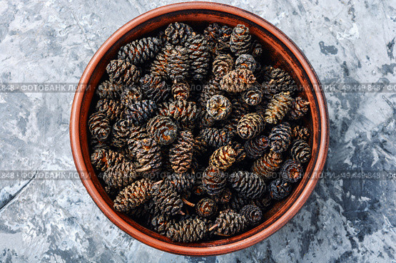 Healing cones of alder.Alternative medicine herbal.Alder seedlings.Herbal medicine. Healing alder cones. Стоковое фото, агентство Ingram Publishing / Фотобанк Лори