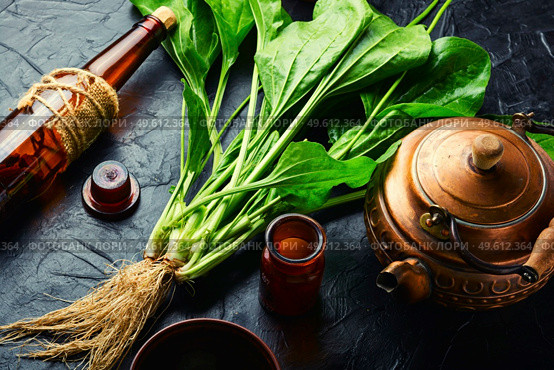 Healing plantain tea. Teapot in herbal plantain tea. Natural herbal medicine. Plantain in herbal medicine. Стоковое фото, агентство Ingram Publishing / Фотобанк Лори