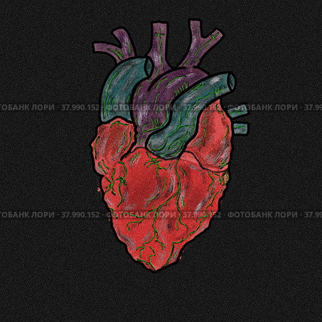 Heart. Стоковая иллюстрация, иллюстратор Диана Васильева / Фотобанк Лори