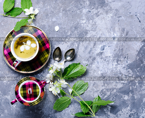 Herbal tea with jasmine. Teacup with tea from jasmine flowers.Green tea. Стоковое фото, агентство Ingram Publishing / Фотобанк Лори