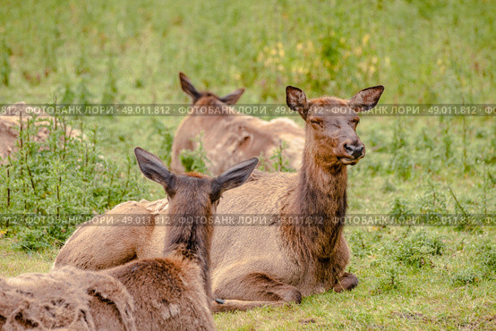 High resolution photo in best quality. Стоковое фото, агентство Ingram Publishing / Фотобанк Лори