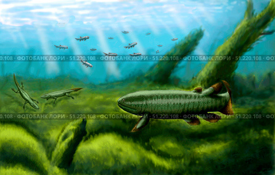 Holoptychius, Tulerpeton and Moythomasia, prehistoric fish of the Devonian period. Yuriy Priymak/Stocktrek Images/TASS. Стоковое фото, агентство ТАСС / Фотобанк Лори
