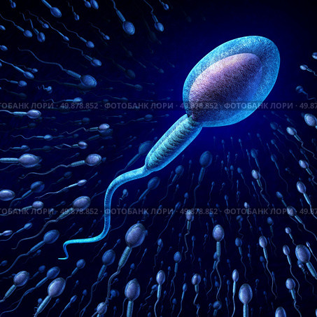 Human sperm cell and male fertility concept with a close up of microscopic spermatozoa cells swimming towards an elusive female egg as a medical reproduction symbol of genetic information transfer and conception. Стоковое фото, агентство Ingram Publishing / Фотобанк Лори