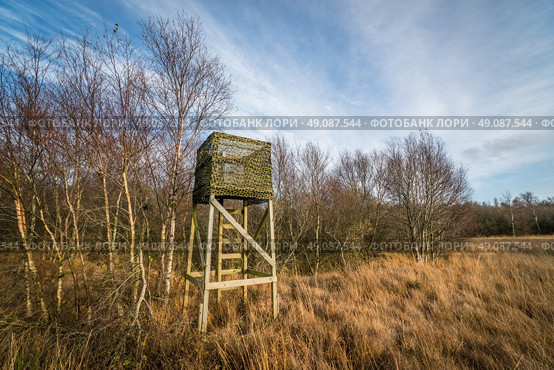 Hunting tower with a ladder in autumn nature. Стоковое фото, агентство Ingram Publishing / Фотобанк Лори