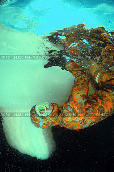 Ice diving, free diving, Kareliya, White sea (2009 год). Редакционное фото, фотограф Некрасов Андрей / Фотобанк Лори