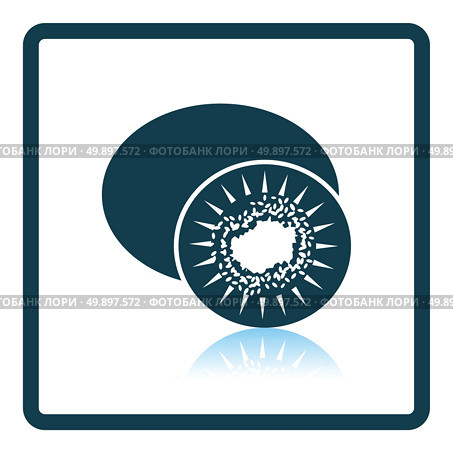 Icon of Kiwi. Shadow reflection design. Vector illustration. Стоковая иллюстрация, агентство Ingram Publishing / Фотобанк Лори