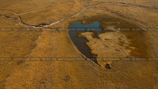 Idyllic countryside landscape with tiny lake in dried yellow field. Стоковое фото, фотограф David Kashakhi / Фотобанк Лори