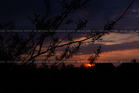 Incredibly beautiful, colorful sunset in the evening sky. Невероятно красивый, красочный закат в вечернем небе. Стоковое фото, фотограф Мария / Фотобанк Лори