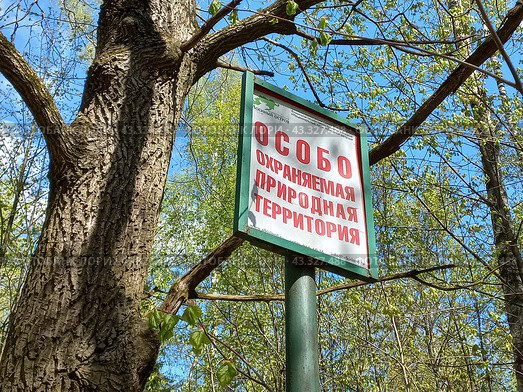 Информационная табличка "Особо охраняемая природная территория". Абрамцевская просека. Национальный парк «Лосиный остров». Район Гольяново. Город Москва (2023 год). Редакционное фото, фотограф lana1501 / Фотобанк Лори