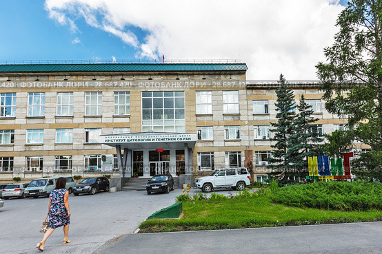Институт цитологии и генетики СО РАН. Новосибирский Академгородок, Западная Сибирь, Россия (2018 год). Редакционное фото, фотограф Евгений Мухортов / Фотобанк Лори