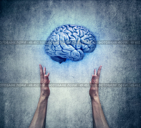 Intellectual protection. Closeup of two human hands holding a blue brain. Save intelligence and mental health concept. Стоковое фото, агентство Ingram Publishing / Фотобанк Лори