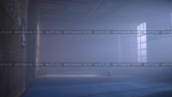 Interior of a fitness hall with punching bags. Стоковое фото, фотограф David Kashakhi / Фотобанк Лори