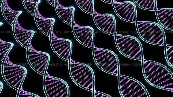 Iridescent colored sinuous genetic codes in animation. Стоковая иллюстрация, иллюстратор David Kashakhi / Фотобанк Лори