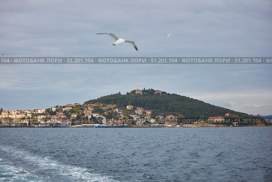 ISTANBUL, TURKEY - NOVEMBER 26, 2021: Building on the Princes' Islands, view from the ship. The Sea of Marmara. Редакционное фото, фотограф Наталия Кирсанова / Фотобанк Лори