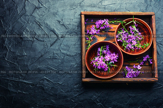 Ivan tea in a bowl.Blooming willow herb in herbal medicine.Medicative blooming sally.Copy space. Willow-herb or blooming sally,space for text. Стоковое фото, агентство Ingram Publishing / Фотобанк Лори