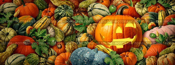 Jack-O-Lantern pumpkin as a happy Halloween celebration background with fresh harvest farm squash and colorful thanksgiving seasonal autumn squashes and fall pumpkins as a composite. Стоковое фото, агентство Ingram Publishing / Фотобанк Лори