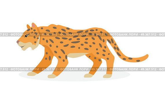 Jaguar, Wild Cat Panther Isolated on White.. Jaguar, wild cat Panther isolated on white. Cat family member. Spotted cat resemble to leopard. Big wild cat. Pantherinae jaguar. Compact and well-muscled animal. Flat style. Vector illustration. Стоковая иллюстрация, агентство Ingram Publishing / Фотобанк Лори