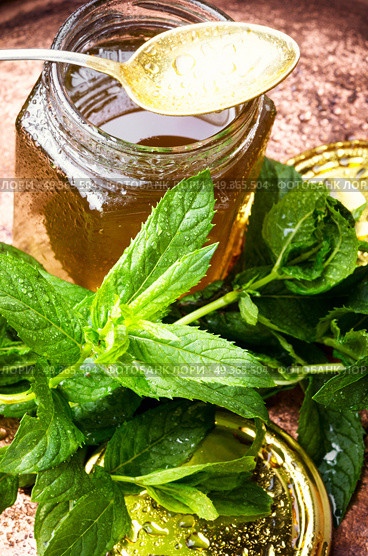 Jam from fresh mint. Aromatic curative jam from fresh mint leaves.Peppermint jelly. Стоковое фото, агентство Ingram Publishing / Фотобанк Лори