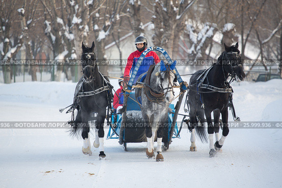 January 20 - 2013, Russia Troyka -three horses racing - winter President Cup of Russia in Moscow. Редакционное фото, фотограф Александр Новиков / Фотобанк Лори