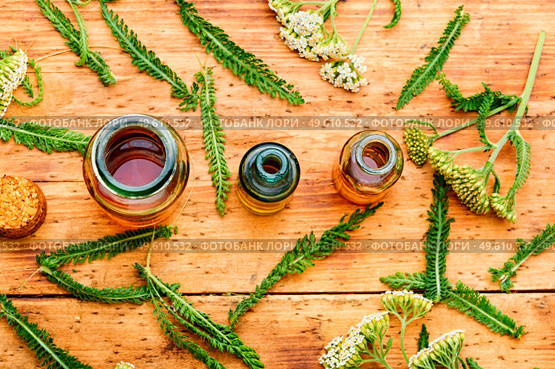Jar of yarrow tincture.Medicine made from healing herbs.Herbalism and homeopathic. Yarrow in herbal medicine,achillea millefolium. Стоковое фото, агентство Ingram Publishing / Фотобанк Лори