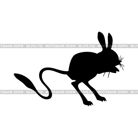 Jerboa Silhouette. Smooth and clean lines. High detailed Jerboa silhouette. Vector Illustration.. rodents silhouettes. Стоковая иллюстрация, агентство Ingram Publishing / Фотобанк Лори