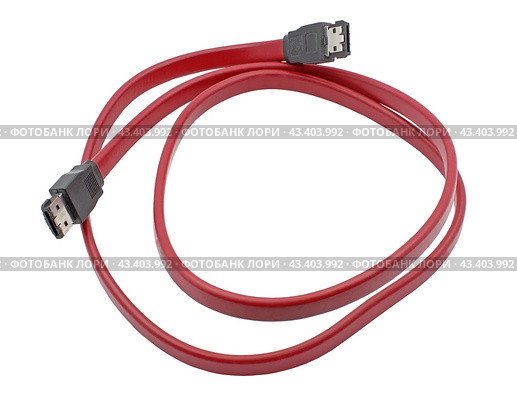 Кабель для подсоединения жесткого диска к компьютеру. Hard disk drive power cables. Стоковое фото, фотограф Татьяна Д / Фотобанк Лори