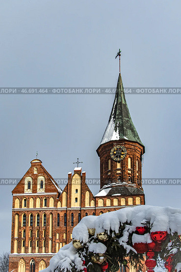 Kaliningrad, Kaliningrad Region Russia, February 16, 2025 Cathedral on the island of Kant in winter. Редакционное фото, фотограф Наталья Симакова / Фотобанк Лори