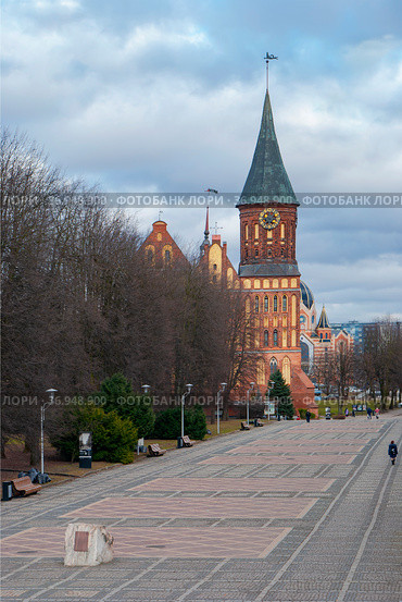 Калининград. Остров Канта (Кнайпхоф). Улица Канта. (2019 год). Редакционное фото, фотограф Зобков Юрий / Фотобанк Лори