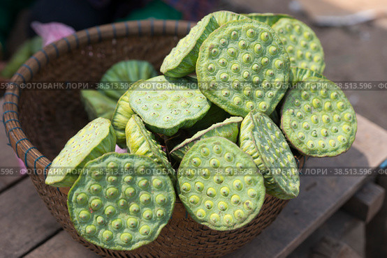 Камбоджа. Пномпень. Плоды отцветшего растения лотоса. Cambodia. Phnom Penh. The fruits of a faded lotus plant. (2017 год). Стоковое фото, фотограф Алексей Смышляев / Фотобанк Лори