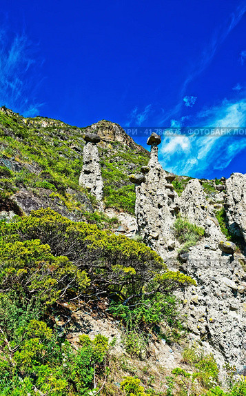 Каменные грибы. Урочище Аккурум (Ак-Корум). Горный Алтай. Стоковое фото, фотограф Макаров Алексей / Фотобанк Лори