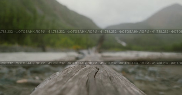 Капли дождя падают на упавшее дерево. Стоковое видео, видеограф Анастасия Евгеньевна Кожина / Фотобанк Лори