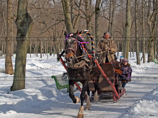 Катание детей в санях в Павловском парке (2013 год). Редакционное фото, фотограф Ирина Борсученко / Фотобанк Лори