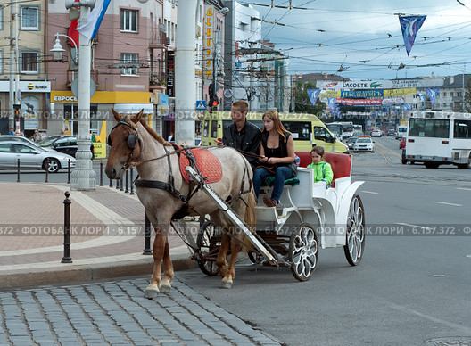 Катание на лошадях в центре города (2014 год). Редакционное фото, фотограф Svet / Фотобанк Лори