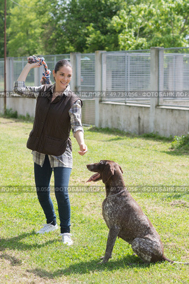 kennel volunteer playing with abandoned older dog. Стоковое фото, агентство Ingram Publishing / Фотобанк Лори