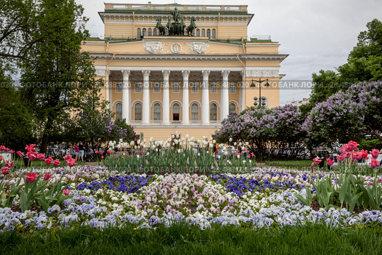 Клумба на площади Островского и фасад здания Александринского театра в центре города Санкт-Петербурга, Россия (2018 год). Редакционное фото, фотограф Николай Винокуров / Фотобанк Лори
