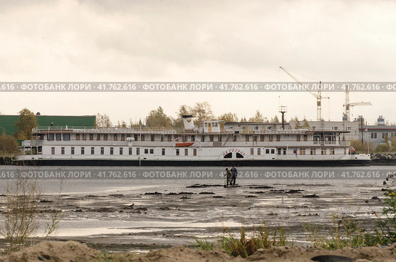 Копание морского червя-пескожила на берегу Белого моря. Колесный пароход "Гоголь" Стоковое фото, фотограф Яковлев Сергей / Фотобанк Лори