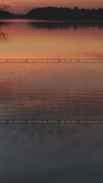 Коралловый закат над тихим озером. Вертикальное видео. Стоковое видео, видеограф Галина Миронова / Фотобанк Лори