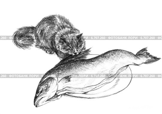 Кошка пытается украсть сёмгу - The cat trying to steal salmon. Стоковая иллюстрация, иллюстратор Марина Ефремова / Фотобанк Лори