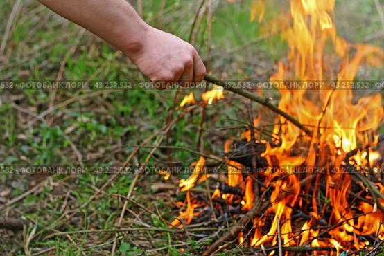 Костер в лесу.Изображение руки человека, который ворошит угли в костре./ Fire in the woods.The image of the hand of a man who agitates the coals in the fire. Стоковое фото, фотограф Наталья Баранова / Фотобанк Лори