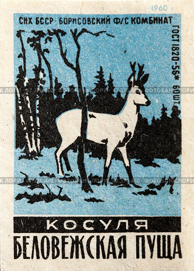 Косуля. Серия: Беловежская пуща. Спичечные этикетки СССР. 1960. Редакционное фото, фотограф Сергей Афанасьев / Фотобанк Лори