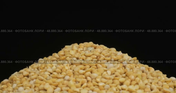 Крупный план. Вращение кучки гороховых зерен. Выделено на черном фоне. Стоковое видео, видеограф Александр Собко / Фотобанк Лори