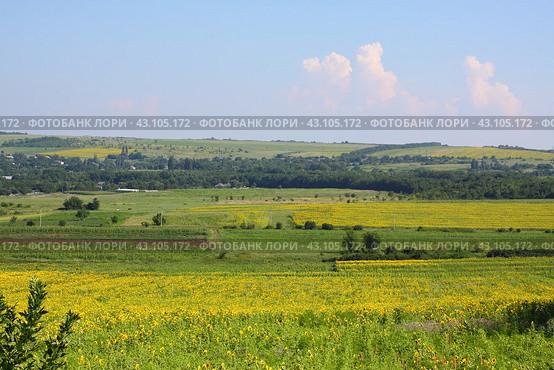 Кубанские просторы. Краснодарский край. Анапский район. (2012 год). Стоковое фото, фотограф Дорощенко Элла / Фотобанк Лори