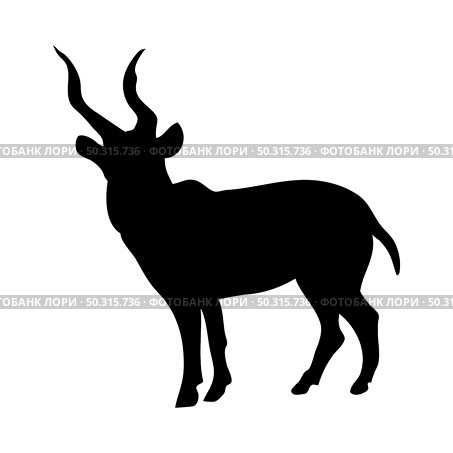 Kudu antelope silhouette. Smooth and clean lines. High detailed Kudu antelope silhouette. Vector Illustration.. deer and goats silhouettes set. Стоковая иллюстрация, агентство Ingram Publishing / Фотобанк Лори