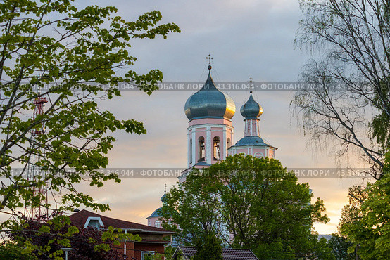 Купола Троицкого собора, город Валдай, Новгородская область, Россия. Вид на металлические купола православной церкви на фоне закатного неба. На переднем плане ветви деревьев. Стоковое фото, фотограф Андрей Степанов / Фотобанк Лори