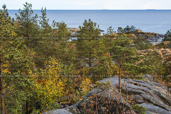 Ladoga skerries, stone islands on Lake Ladoga. Republic of Karelia, Russia. Стоковое фото, фотограф Photojuli / Фотобанк Лори