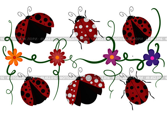 Ladybird beetles with shiny red and black spotted wing, vector pattern of crawling ladybugs and colorful flowers isolated white background. Стоковая иллюстрация, агентство Ingram Publishing / Фотобанк Лори